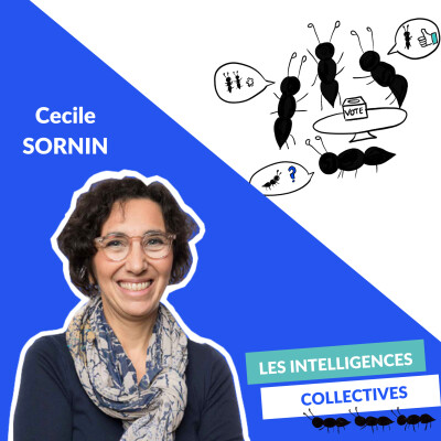 #7/ Cécile SORNIN - La démocratie participative peut-elle sauver nos démocraties ? cover