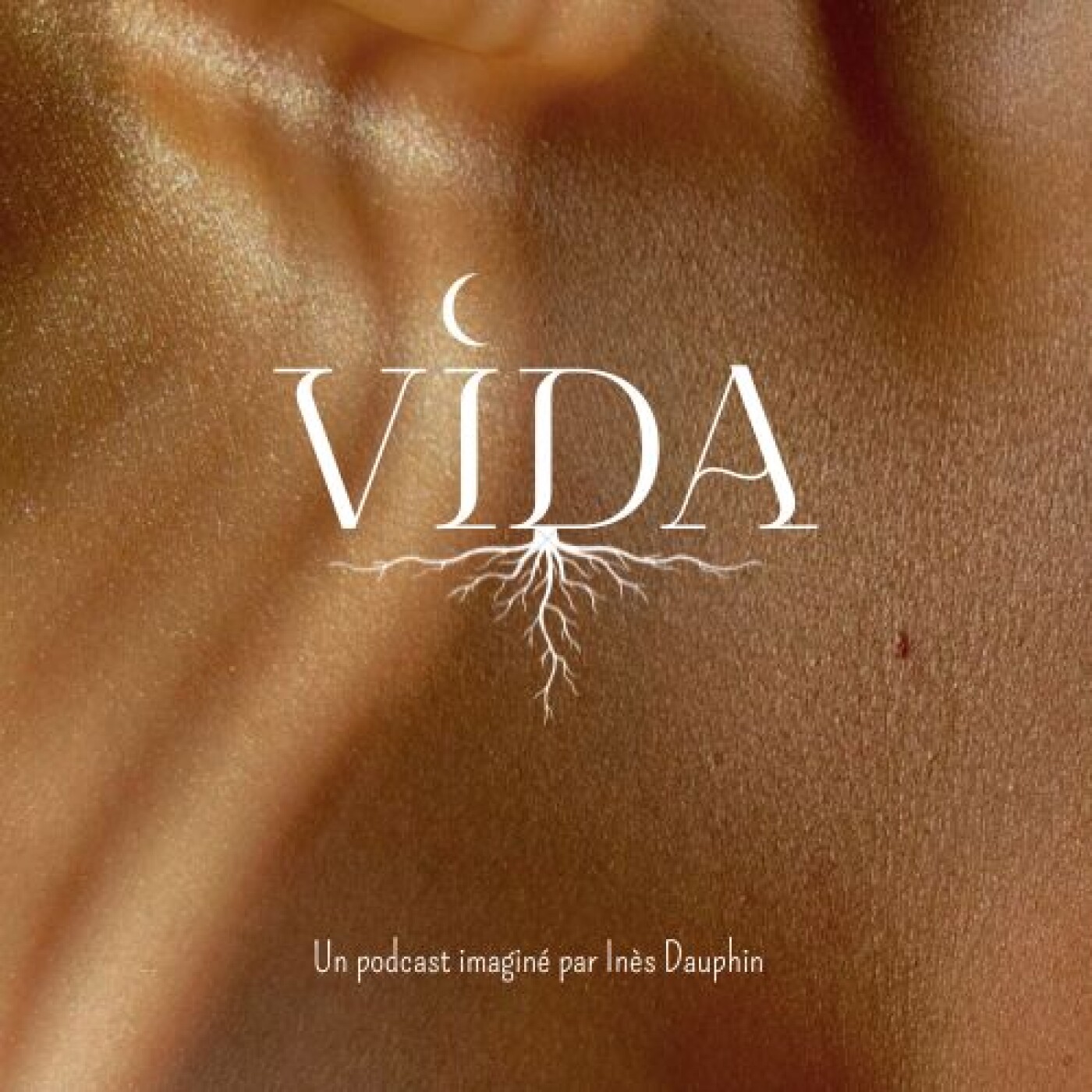 Bienvenue sur VIDA !