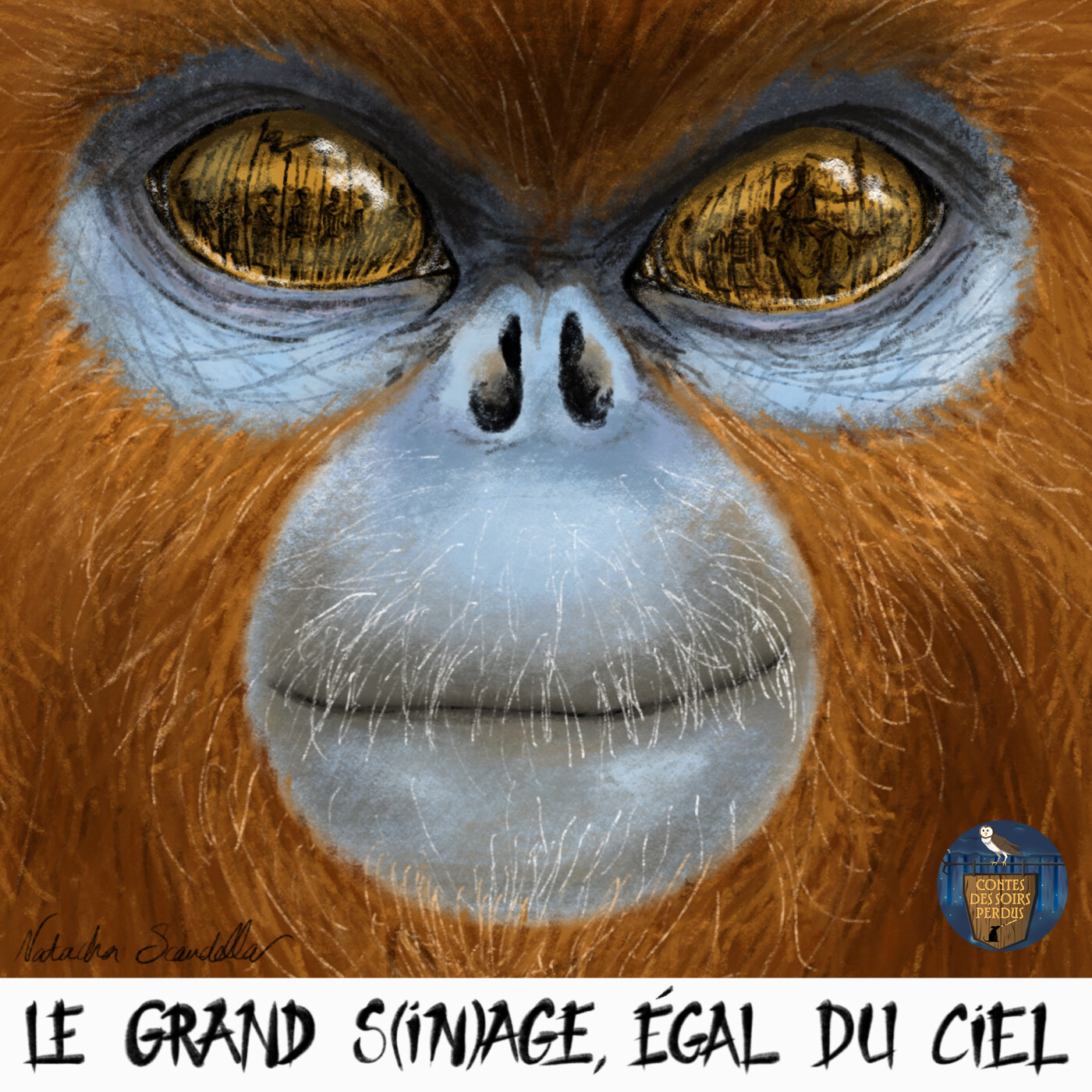Contes des Soirs Perdus