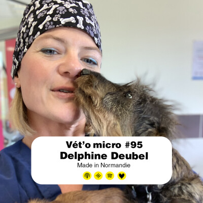 REDIFFUSION Épisode #95 : Delphine Deubel - Made in Normandie cover