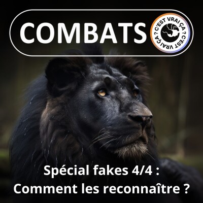 SPÉCIAL Fakes 4/4 : Comment les reconnaître ? cover