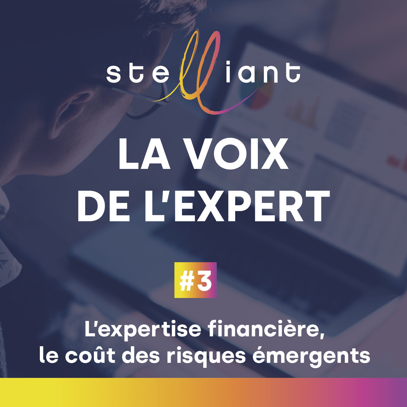 #3 L'expertise financière : le coût des risques émergents
