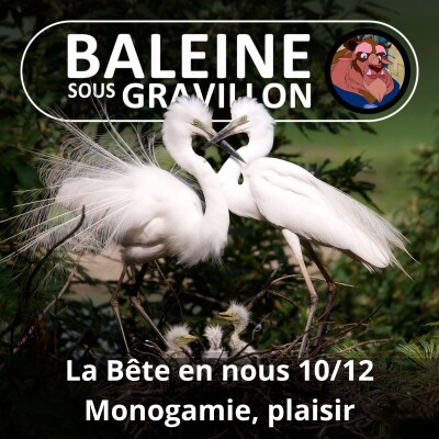 S03E77 La Bête en nous 10/12 : La monogamie et la recherche du plaisir (Jessica Serra) cover