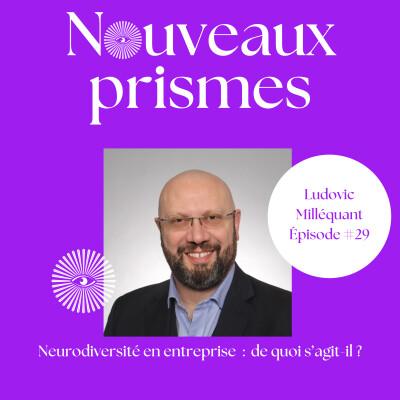 29 - Ludovic Milléquant - Neurodiversité en entreprise. Ressources Humaines (RH), recrutement, management, marque employeur, parentalité cover
