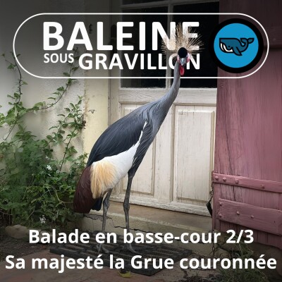 S07E80 Balade en basse-cour 2/3 : C'est qui la patronne ? La Grue couronnée ! (Rémi Dupouy) cover