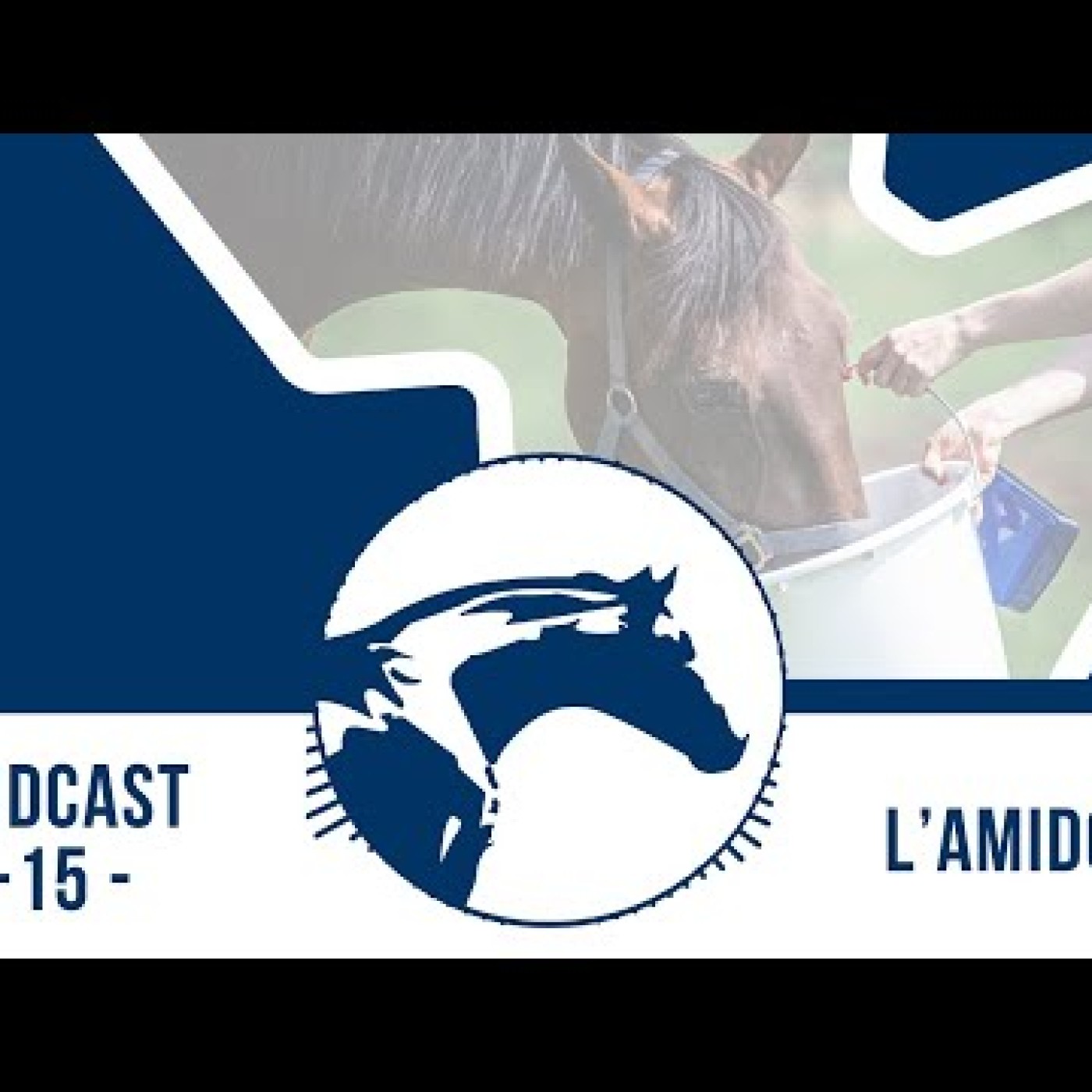 Podcasts vétos Reverdy Nutrition Équine 🎙