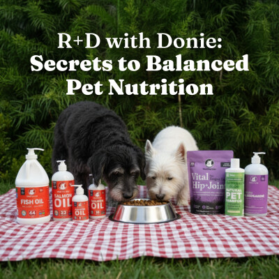 R+D with Donie: Secrets to Balanced Pet Nutrition for Dogs and Cats Podcast cover