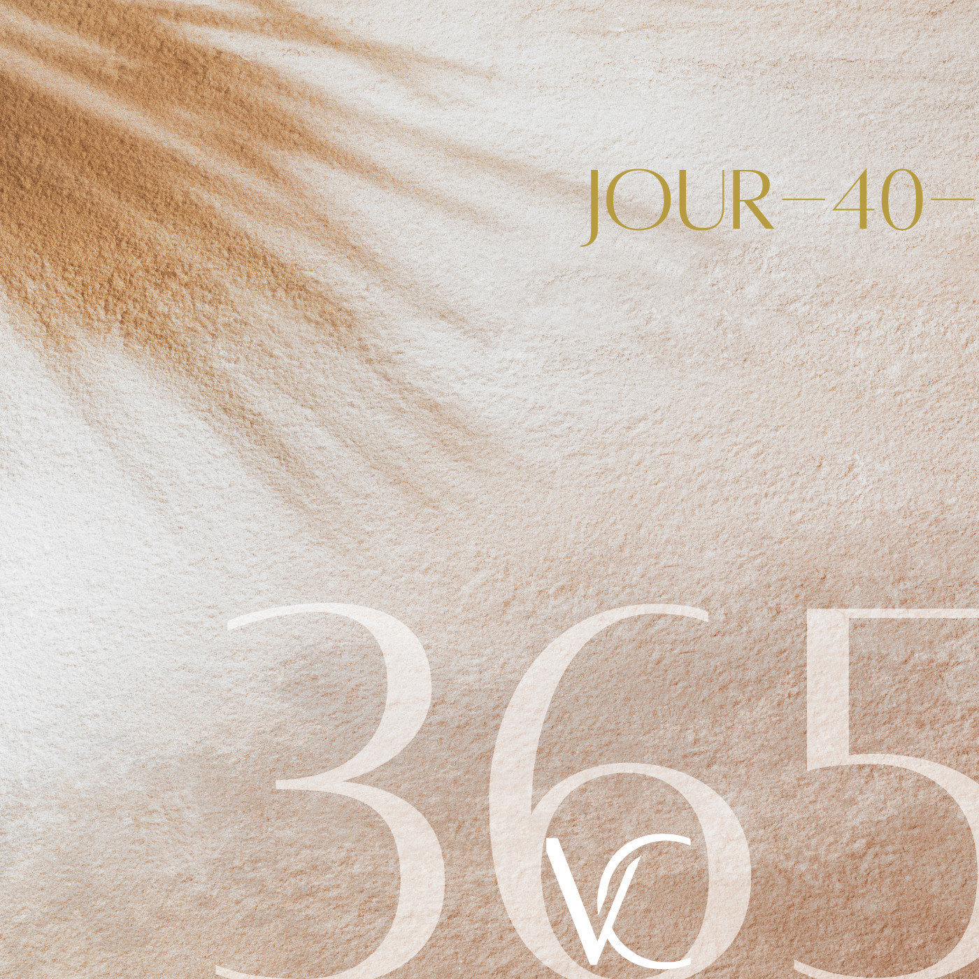 LIVE 365 by Valérie Carchi