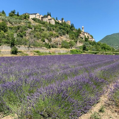 Montbrun-les-Bains, l'un des Plus Beaux Villages de France cover