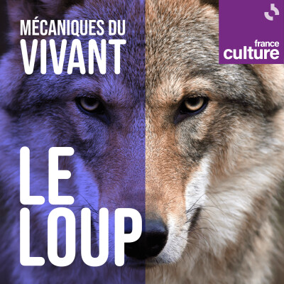 Mécaniques du vivant, saison 1 : Le Loup cover