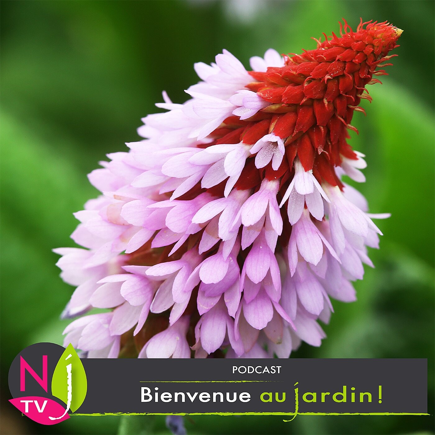 BIENVENUE AU JARDIN
