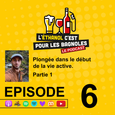 Plongée dans le début de la vie active, week-ends d'évasion : Ps3, party et fous rires chez Régis cover