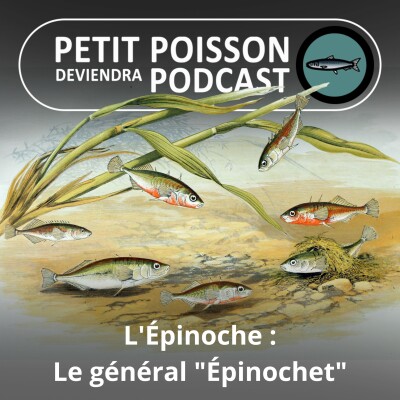 S03E23 L'Épinoche : Le général "Épinochet" d'eau douce cover