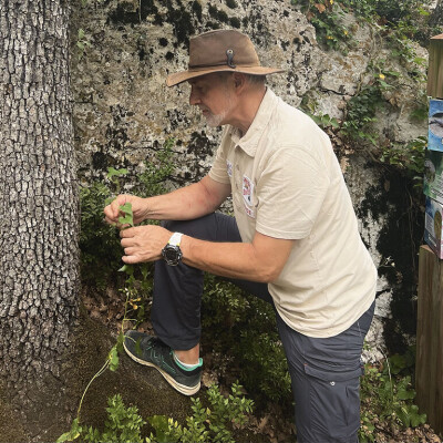 "Sous la surface – Dialogues entre milieux hypogés et épigés" cover