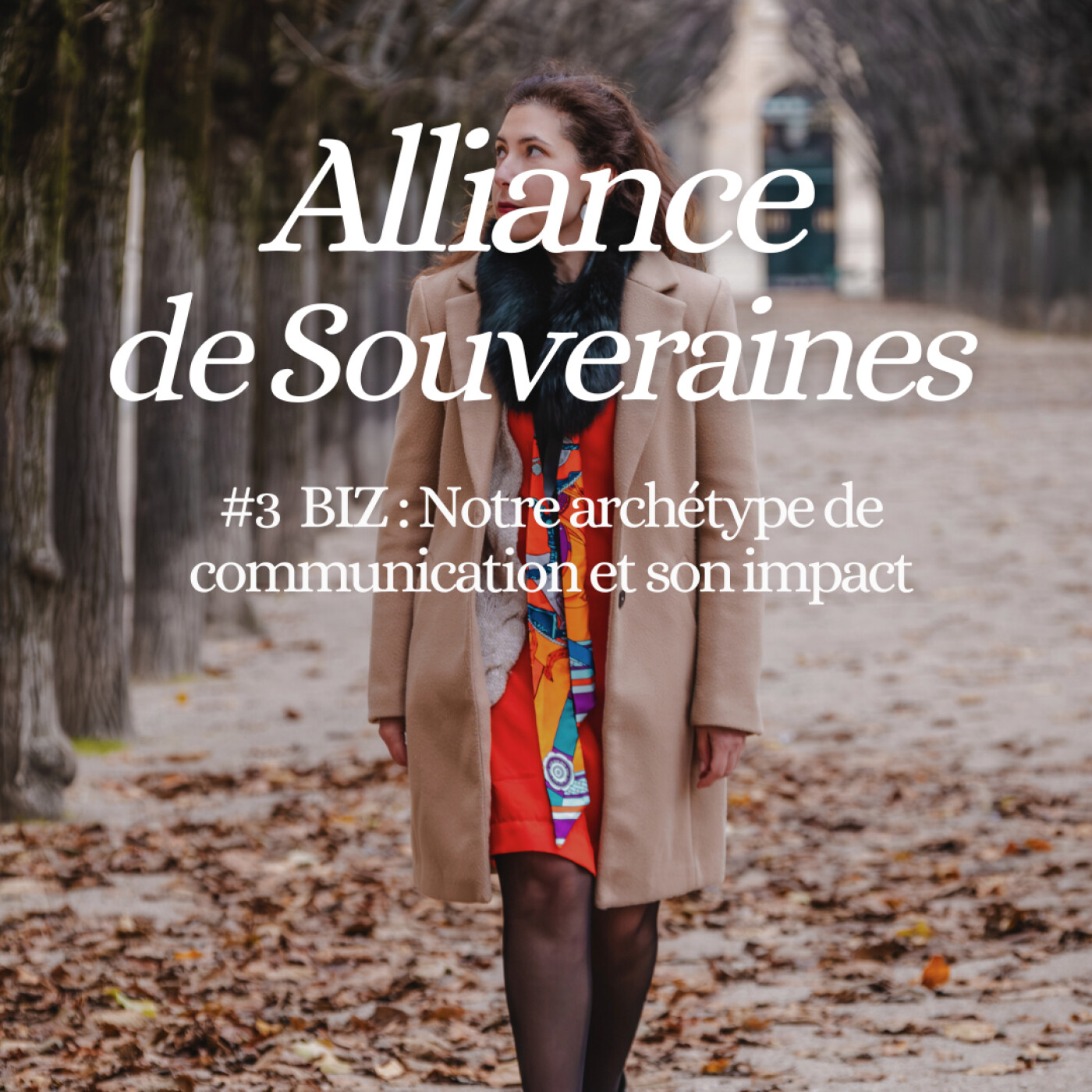 #3  BIZ : votre archétype de communication et son impact episode artwork