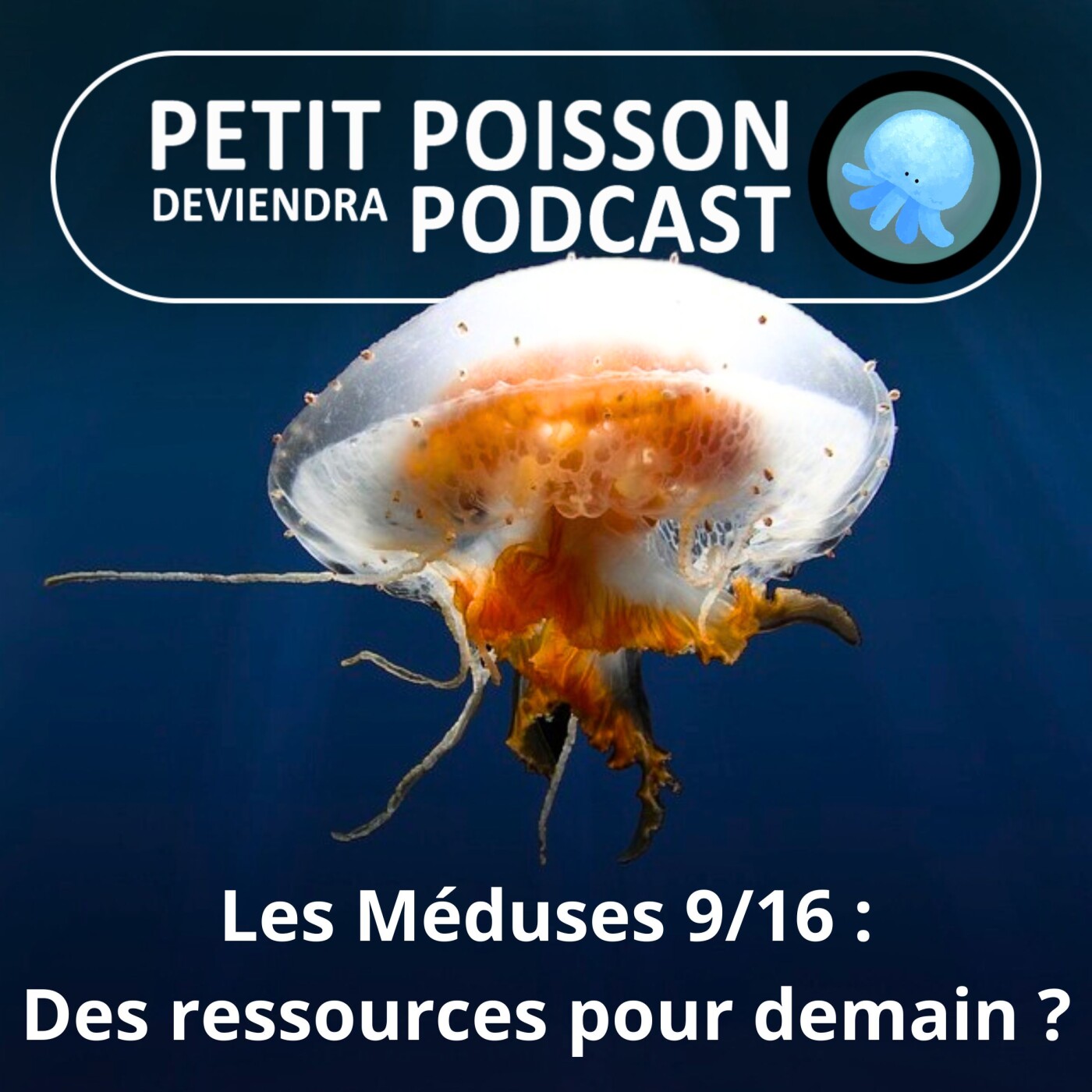 Petit Poisson deviendra Podcast