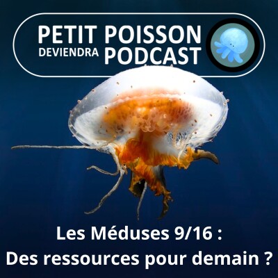 S04E09 Méduses 9/16 : Nourriture, crème de beauté voire... tampon, des ressources pour demain ! cover