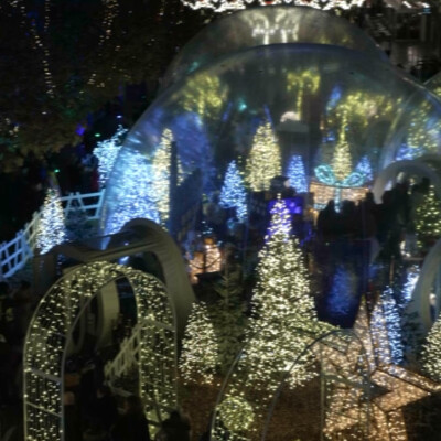 D. Maroilley - Festilight cover