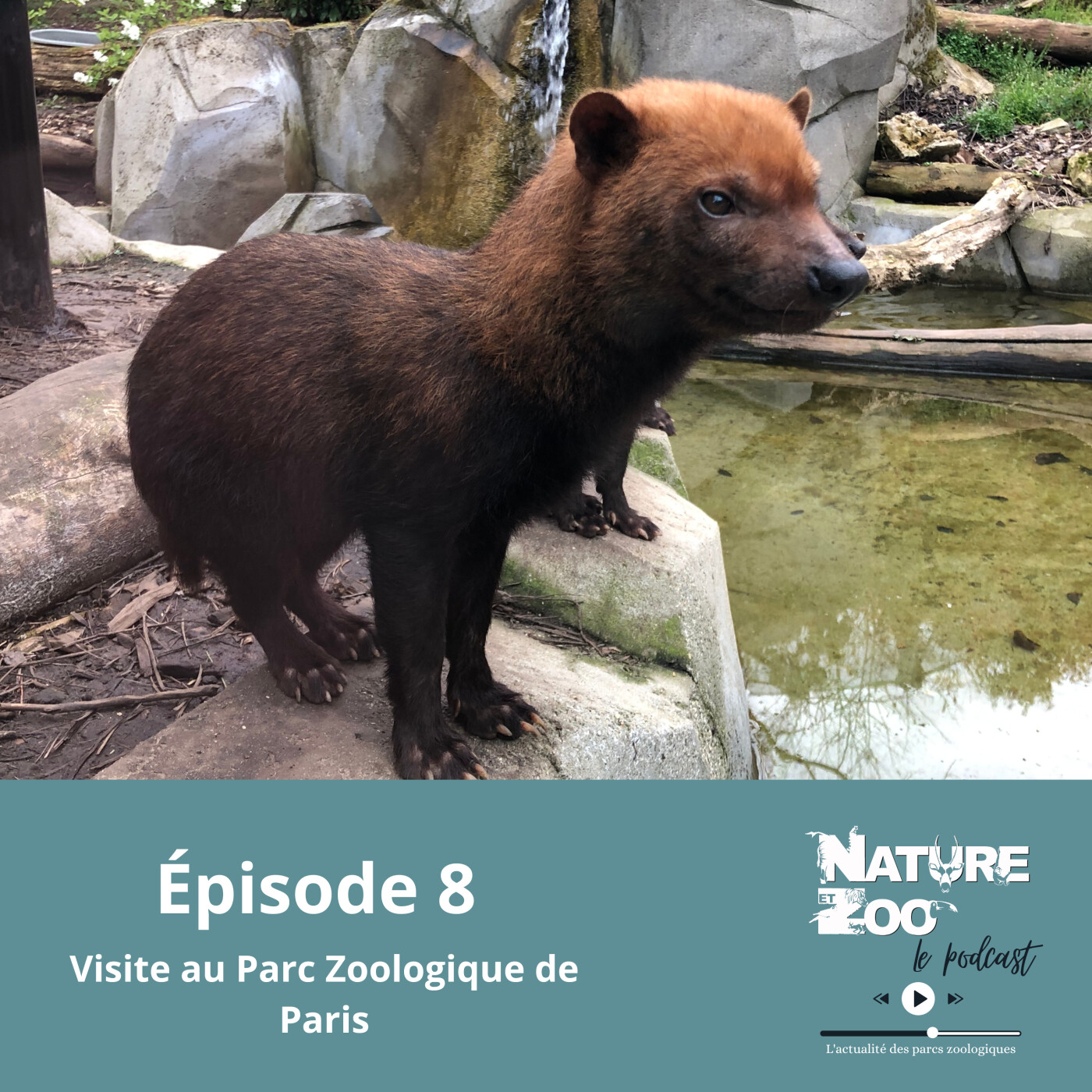 Épisode 8 (VISITE) - Parc Zoologique de Paris episode artwork