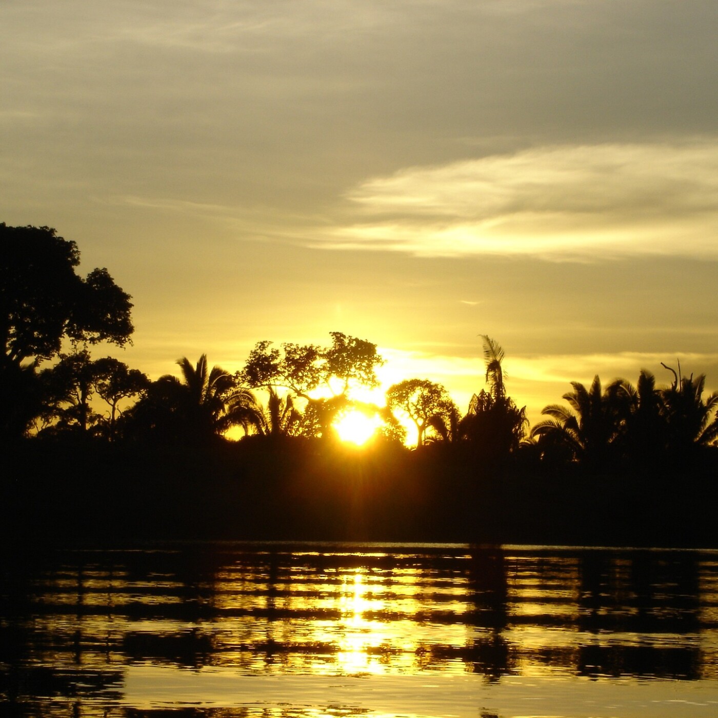 S03E37 Replanter la forêt en Équateur 1/4 : La moitié du monde (Sahira Ochoa, Planète Urgence)