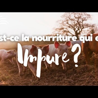 Parole et Évangile du jour | Mercredi 7 février • Qu'est-ce qui est impur ? cover