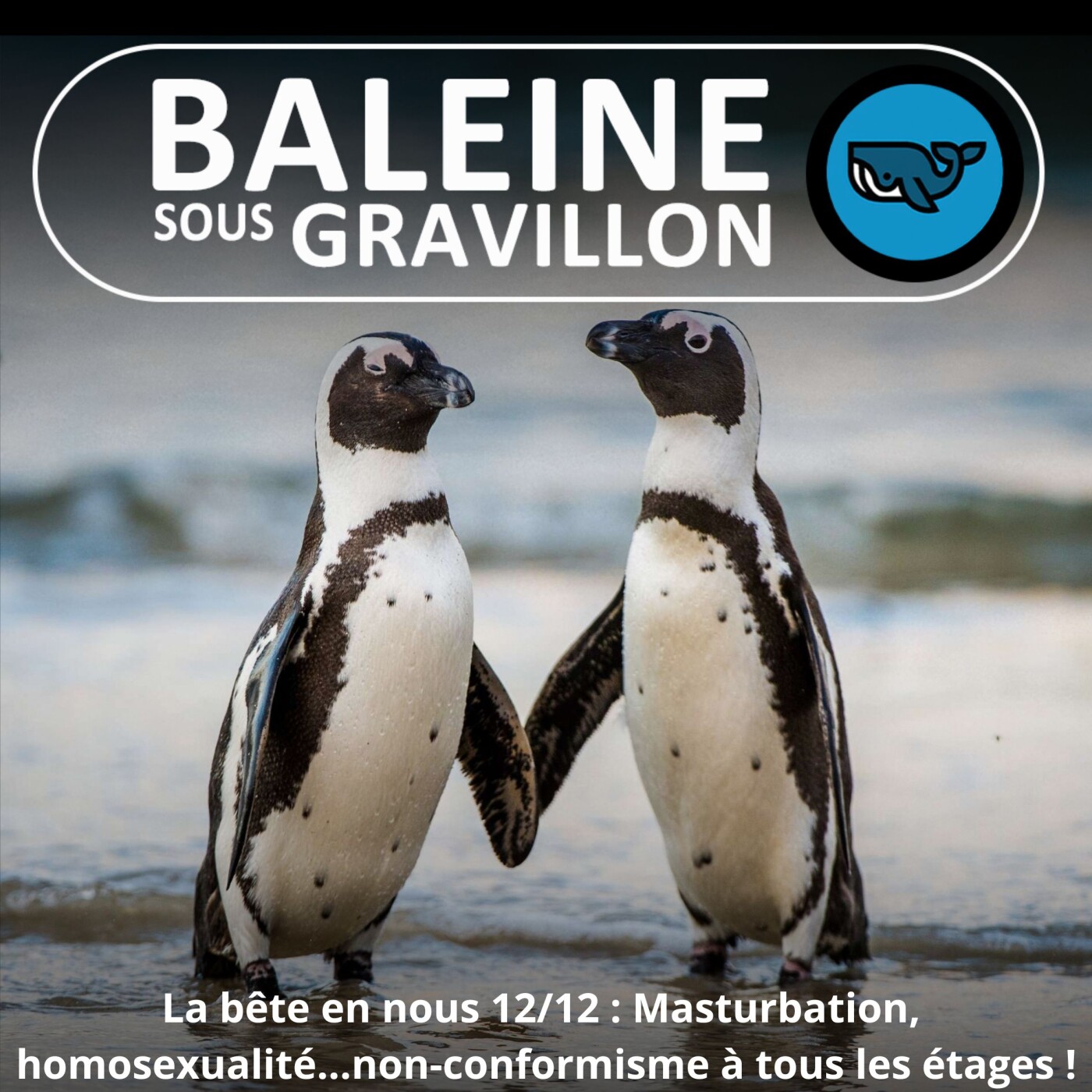 Baleine sous Gravillon