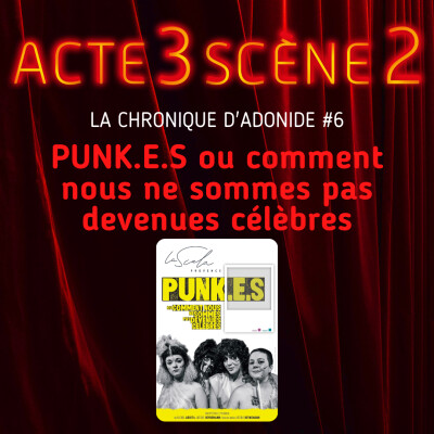La Chronique d'Adonide 6 : PUNK.E.S ou Comment nous ne sommes pas devenues célèbres cover