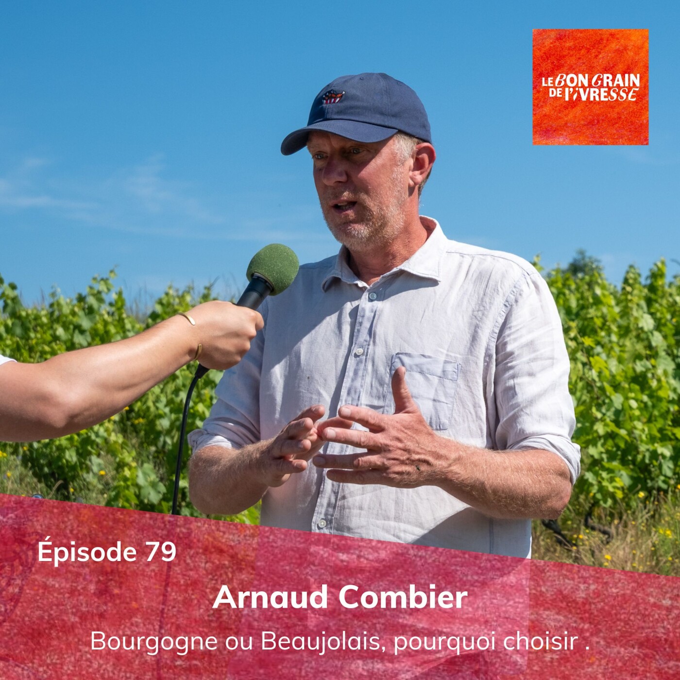 Épisode 79 : Arnaud Combier, Bourgogne ou Beaujolais, pourquoi choisir ?
