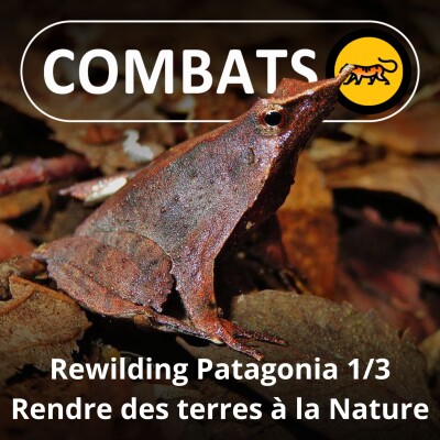 S05E12 Rewilding Patagonia 1/3 : Les 4 façons de réensauvager cover