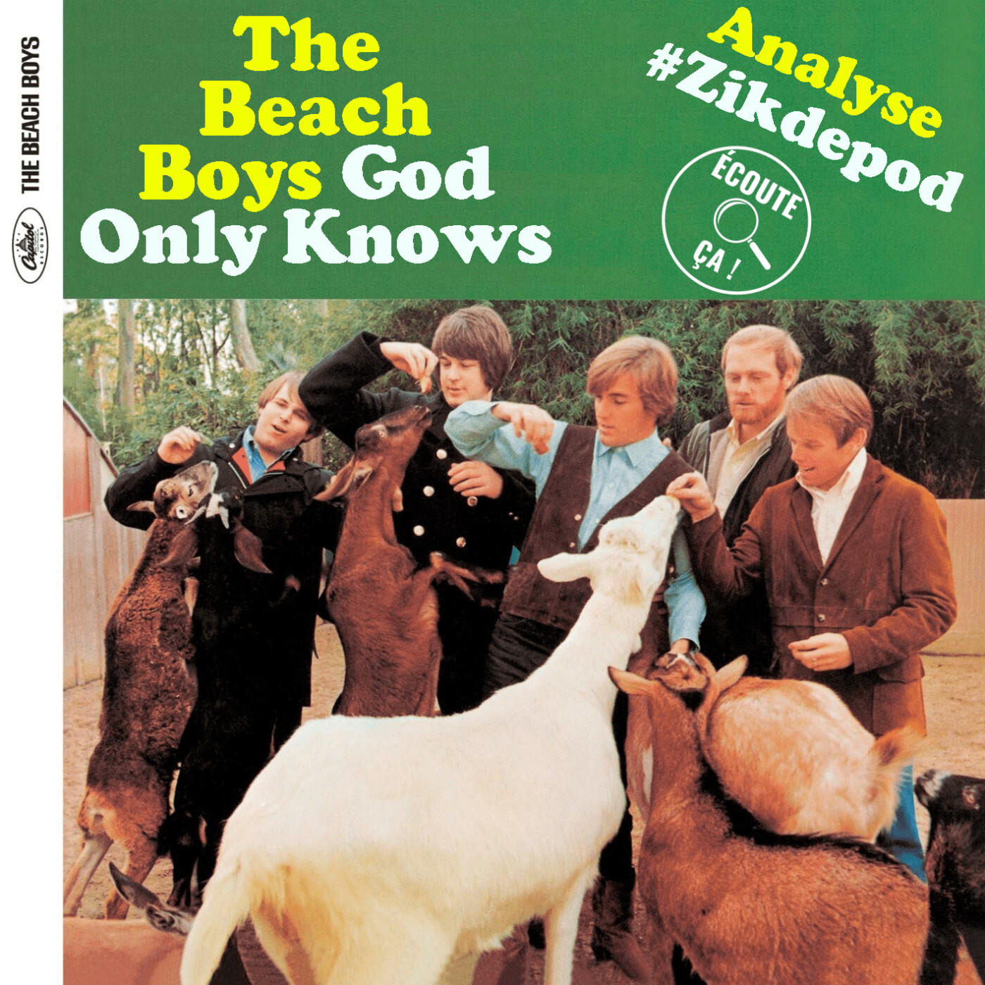 Ep 110 : The Beach Boys - God Only Knows (Analyse #Zikdepod)