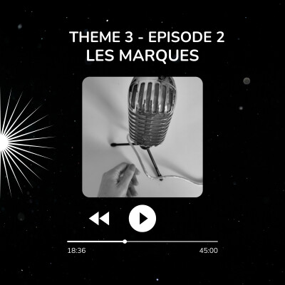 Thème 3 - E2 : Les marques cover