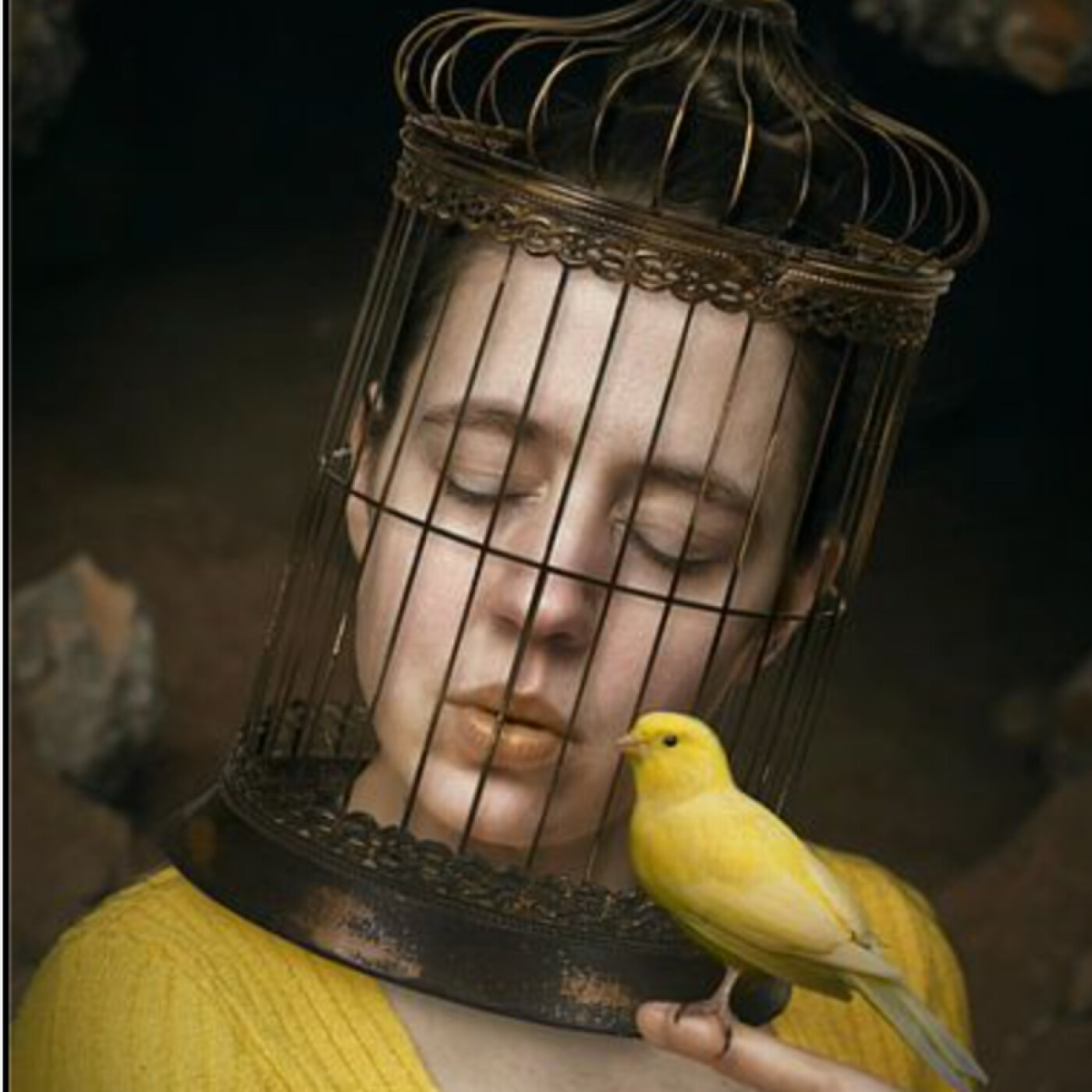 Challenge Jour 1 : Les canaris des temps modernes