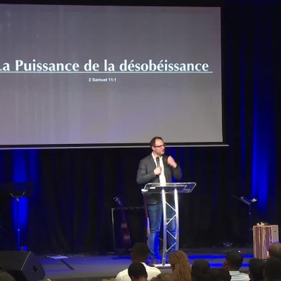 Pierre FAUCHY: Les puissances cachées cover