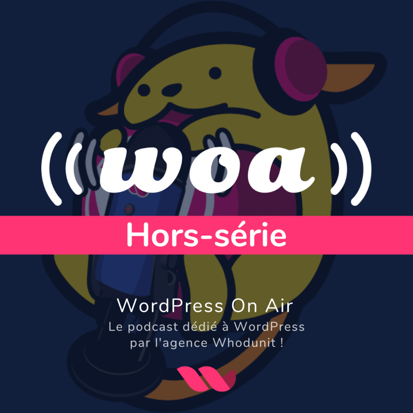 WOA! (WordPress On Air) Hors série #1 - Ronan Chardonneau, Matomo