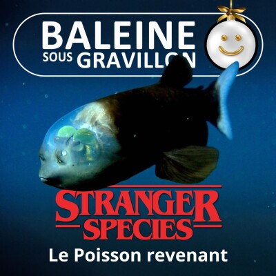 STRANGER SPECIES 2/12 : Le Poisson revenant, t'as d'étranges yeux tu sais... cover
