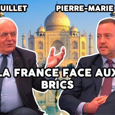 La FRANCE face aux BRICS. Avec Pierre-Marie Relecom cover