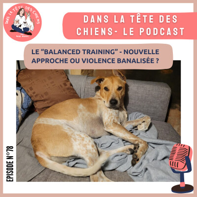 Le balanced training : nouvelle approche ou violence banalisée ? cover