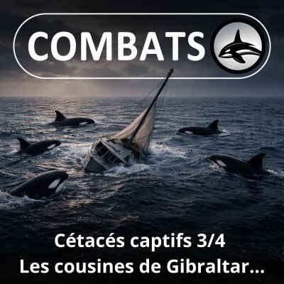 S05E58 Cétacés captifs en France 3/4 : Les "attaques" des cousines de Gibraltar... cover