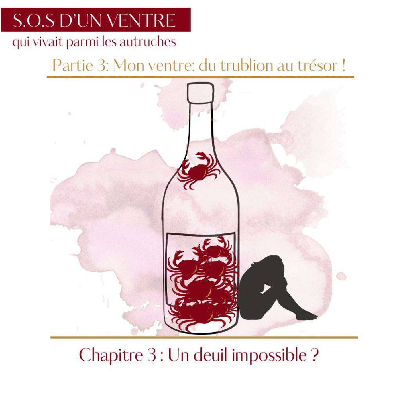 Episode 13 : Un deuil impossible ? Episode 13 : Un deuil impossible ?