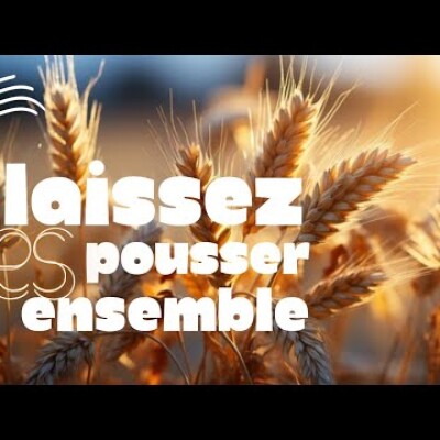 Parole et Évangile du jour | Samedi 27 juillet • Accueillez dans la douceur la Parole ! cover