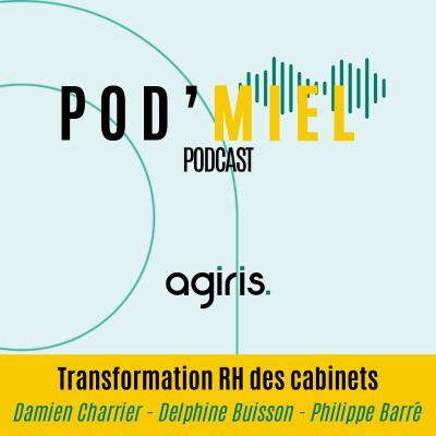 Transformation RH des cabinets - Damien Charrier, Delphine Buisson, Philippe Barré cover