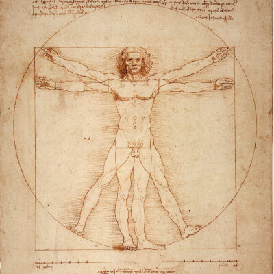 LA RENAISSANCE : L'ÂGE D'OR DE L'EUROPE cover