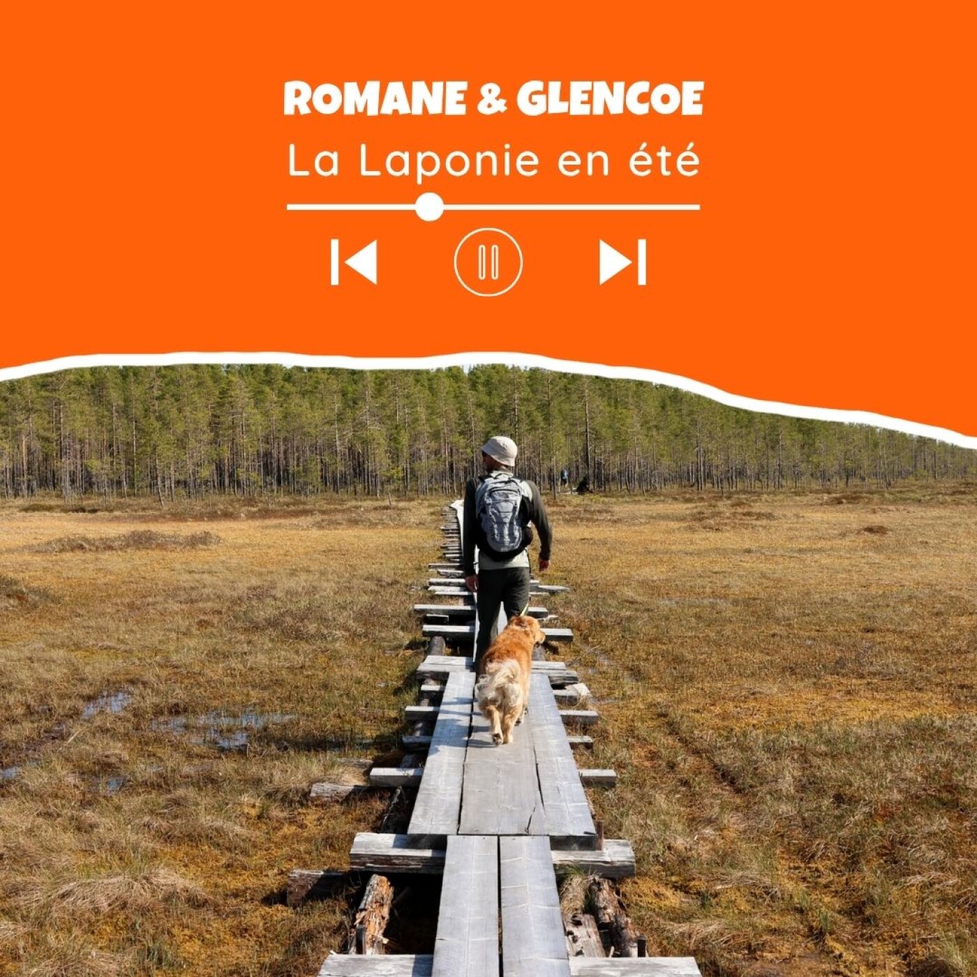 La Laponie avec son chien (en été ☀️)