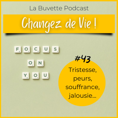 #43 Tristesse, peurs, souffrance, solitude, jalousie : et si vous changiez votre PHILOSOPHIE DE VIE ? cover