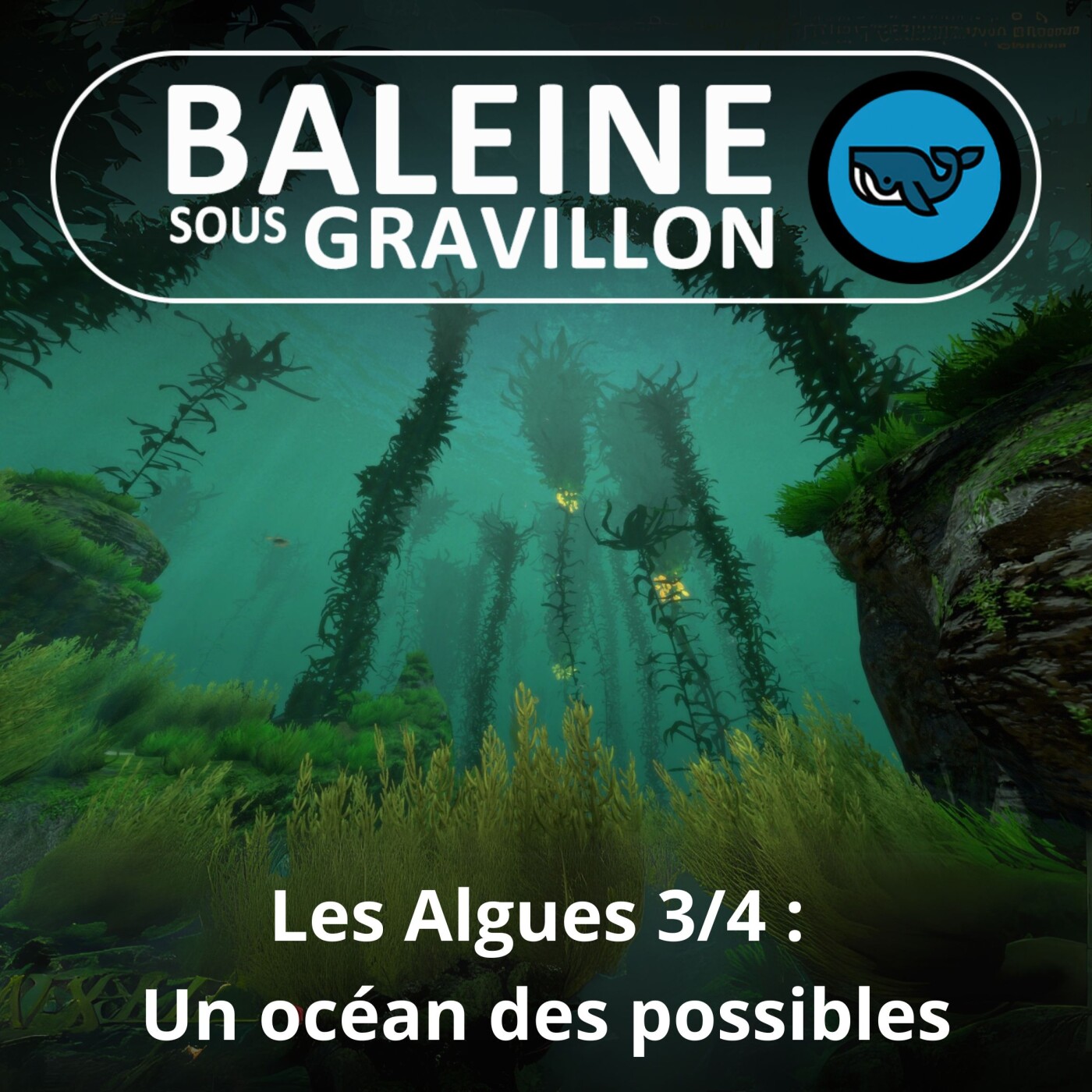 Baleine sous Gravillon