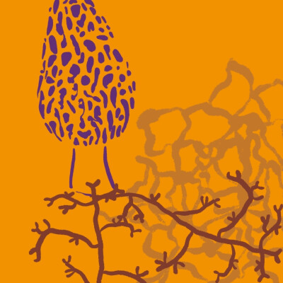 Show cover