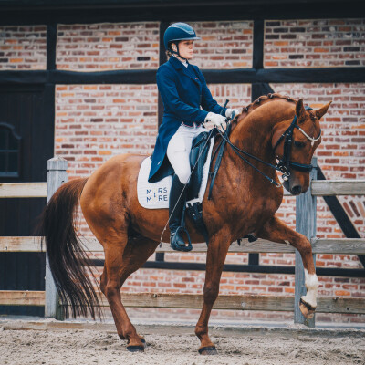 🐎 • Dresser un cheval, c’est facile ! … il suffit … cover