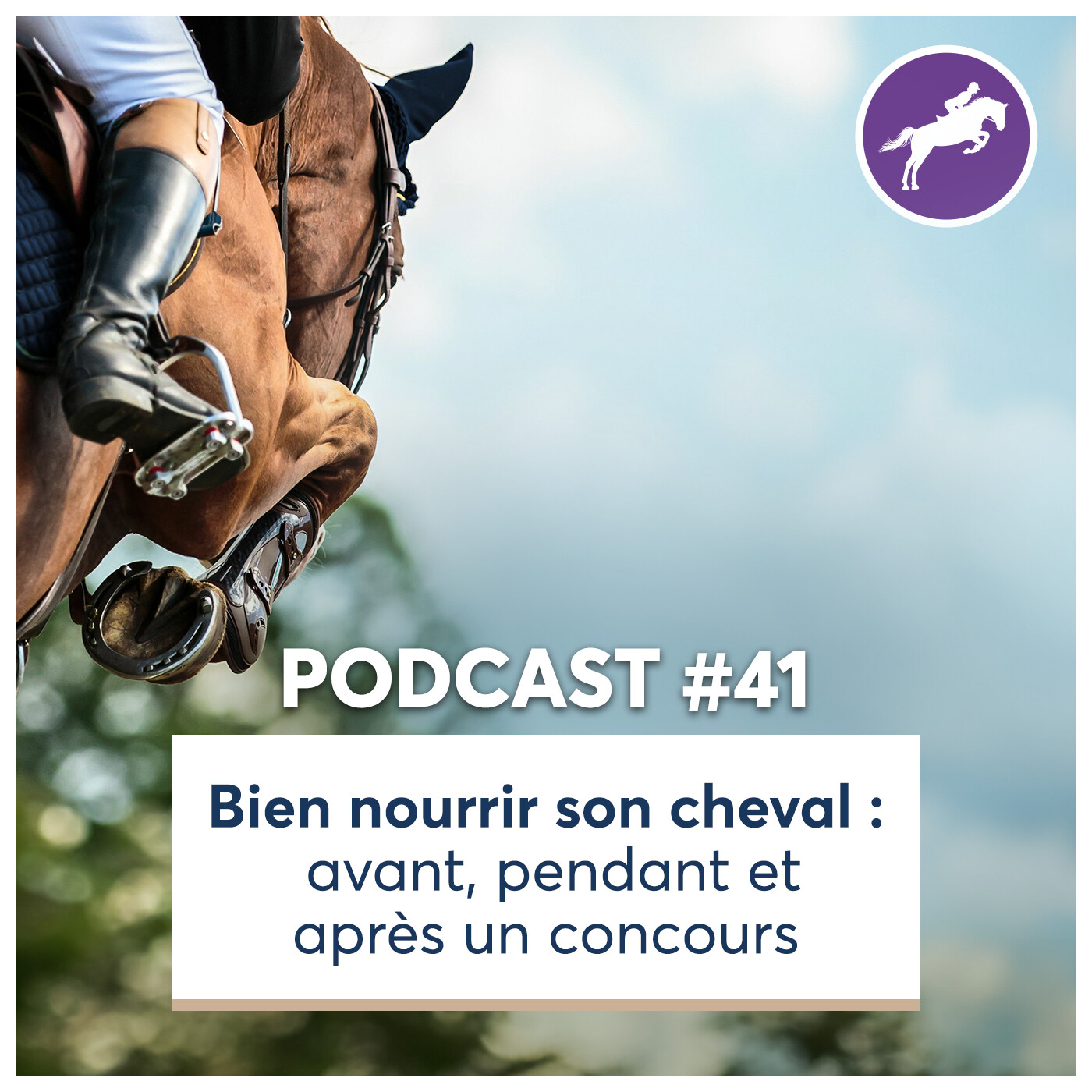 🎙️ Podcast véto %2341 | Bien nourrir son cheval avant, pendant et après un concours 🐎