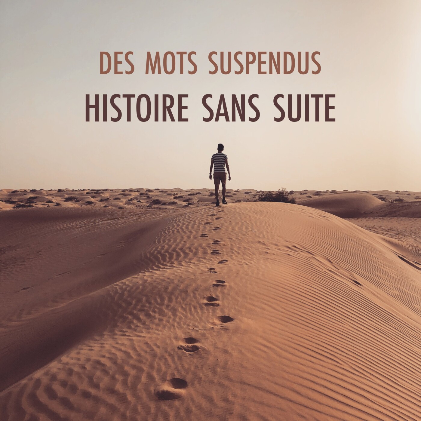 Histoire sans suite