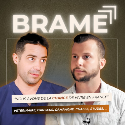 VÉTÉRINAIRE : ÉTUDES, DANGERS, URGENCES, ANECDOTES. cover